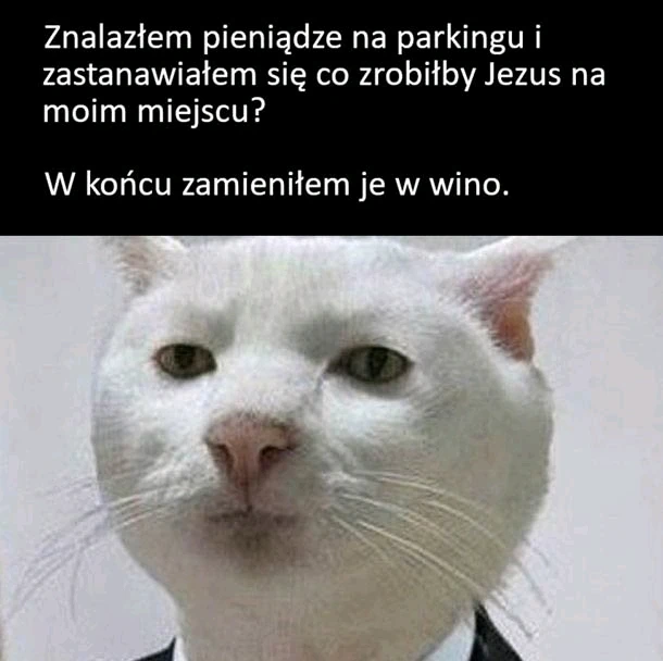 Zdjęcie dodane przez Gosia