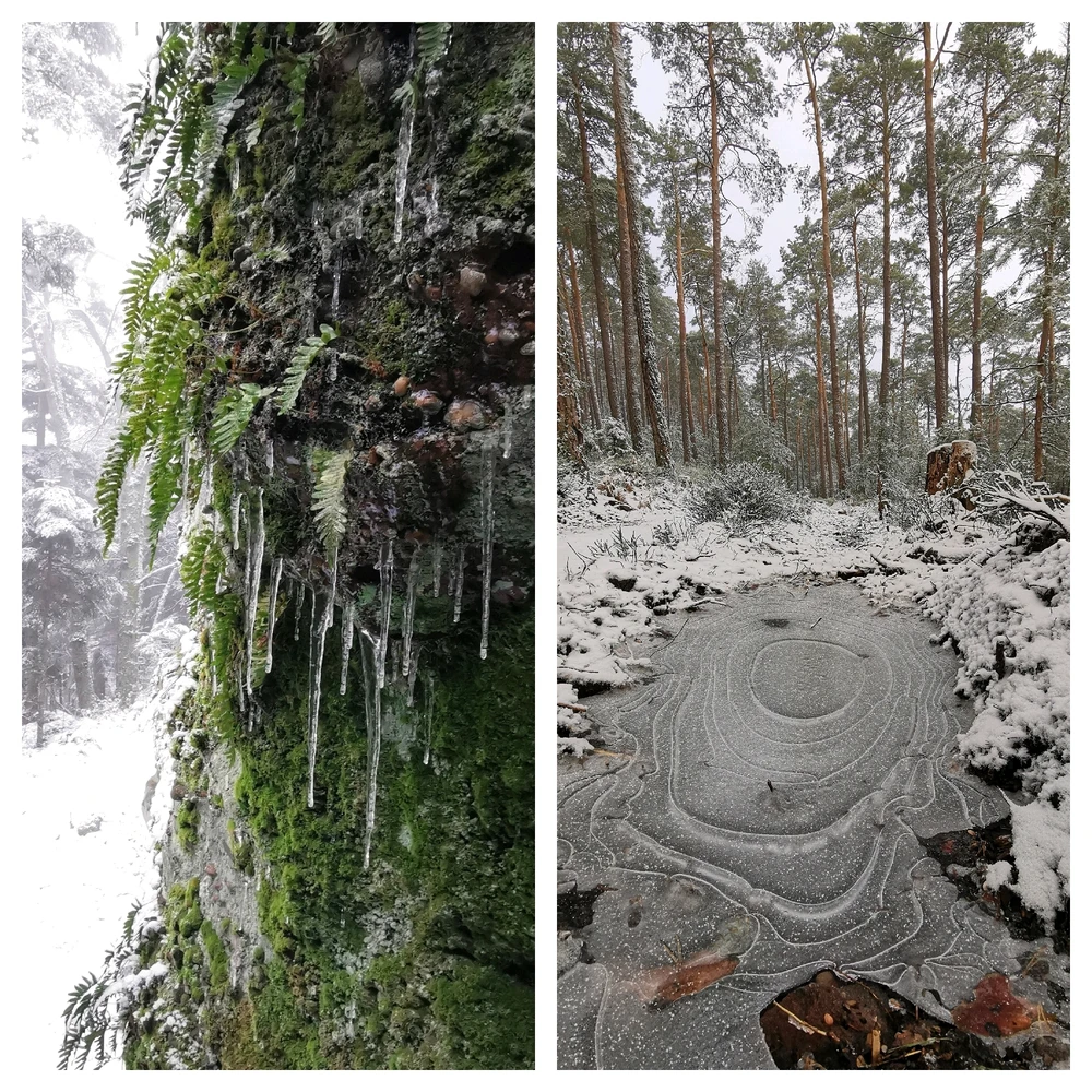 Image ajoutée par Sébastien