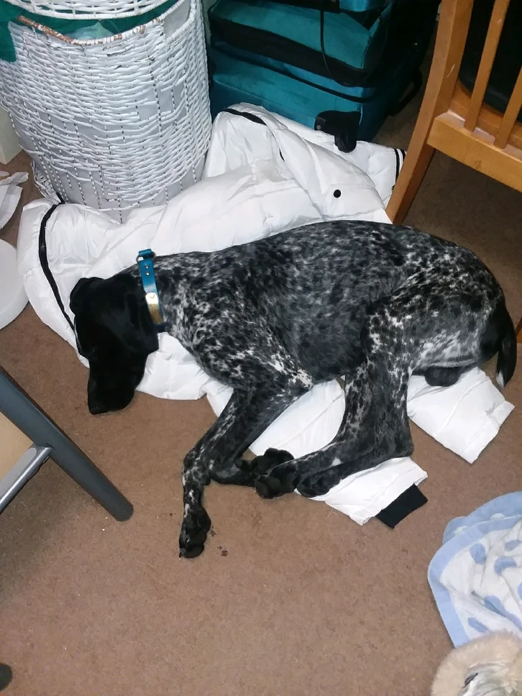 Image uploaded by Katie gm