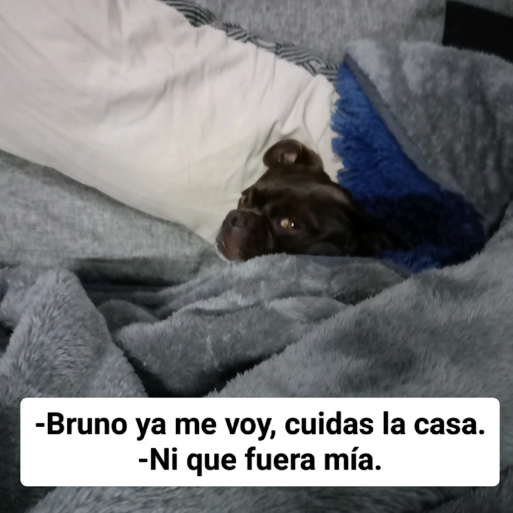 Imagen subida por Enrique