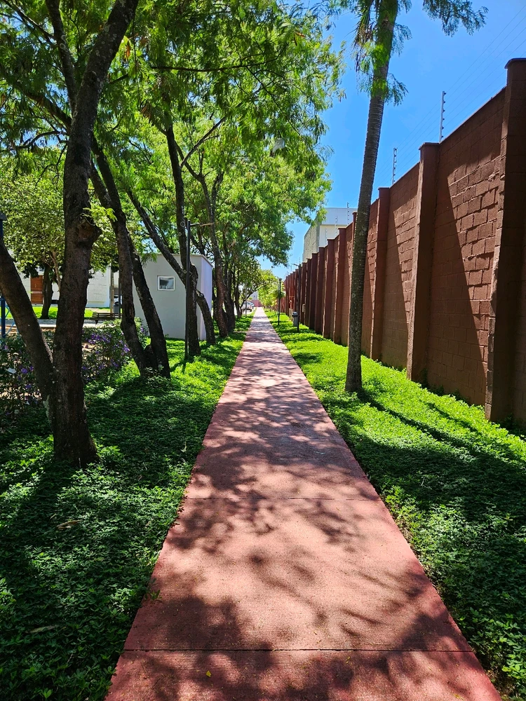 Imagem enviada por André