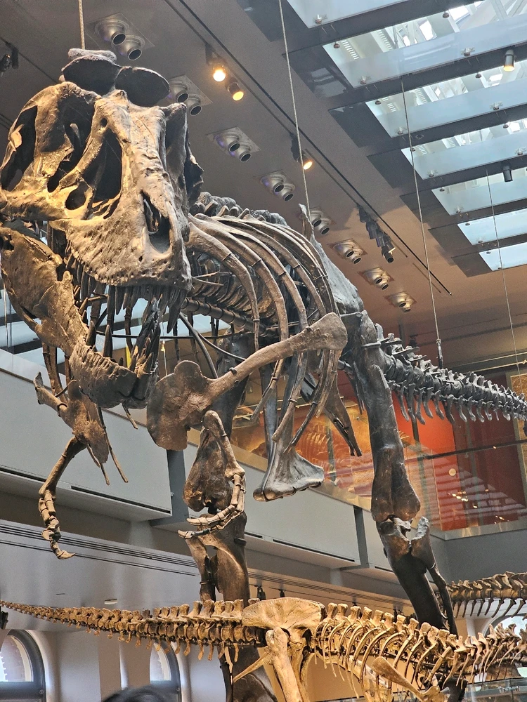 Soon님이 올린 사진