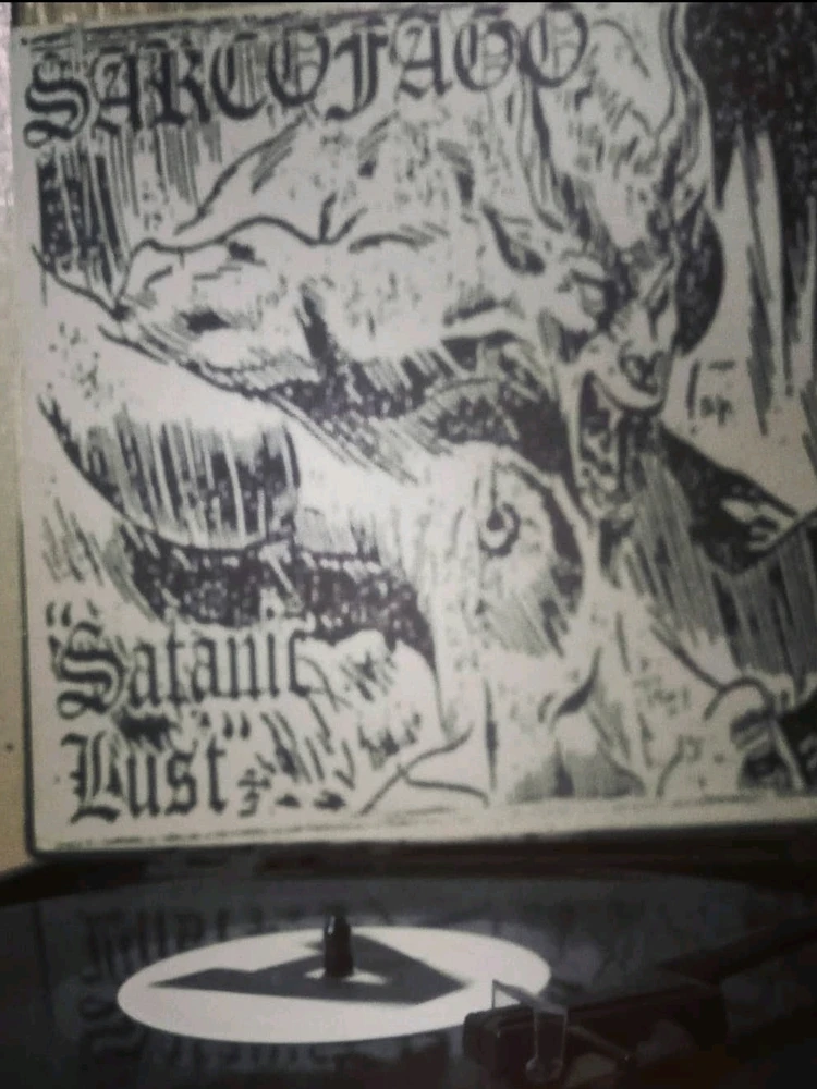 Imagem enviada por Vanessa