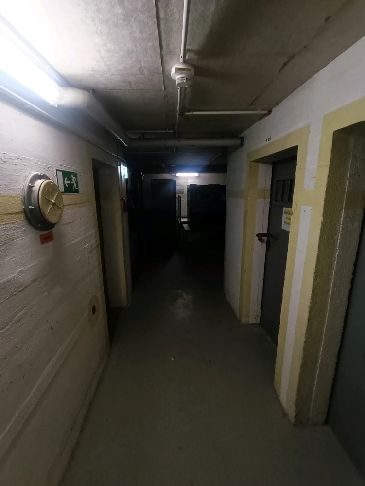 Image uploaded by Martin