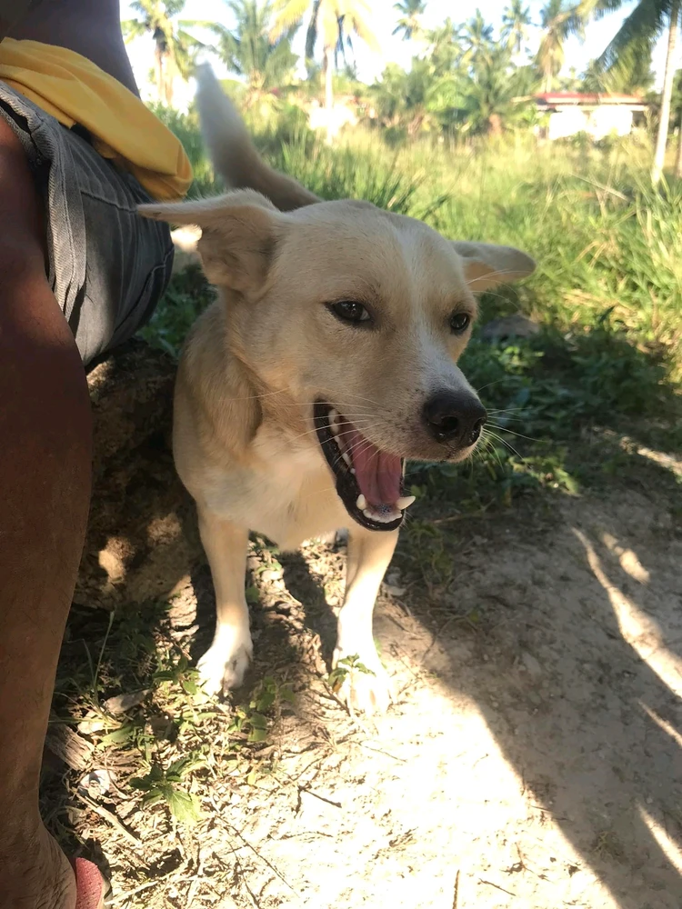 Image uploaded by Jean