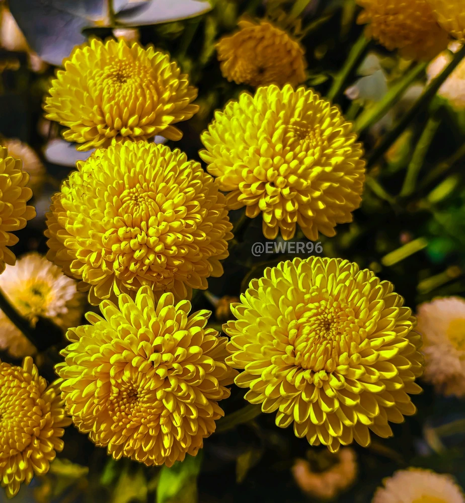 Imatge pujada per Ewerton