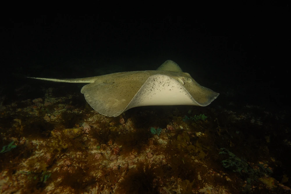 Imagem enviada por Re