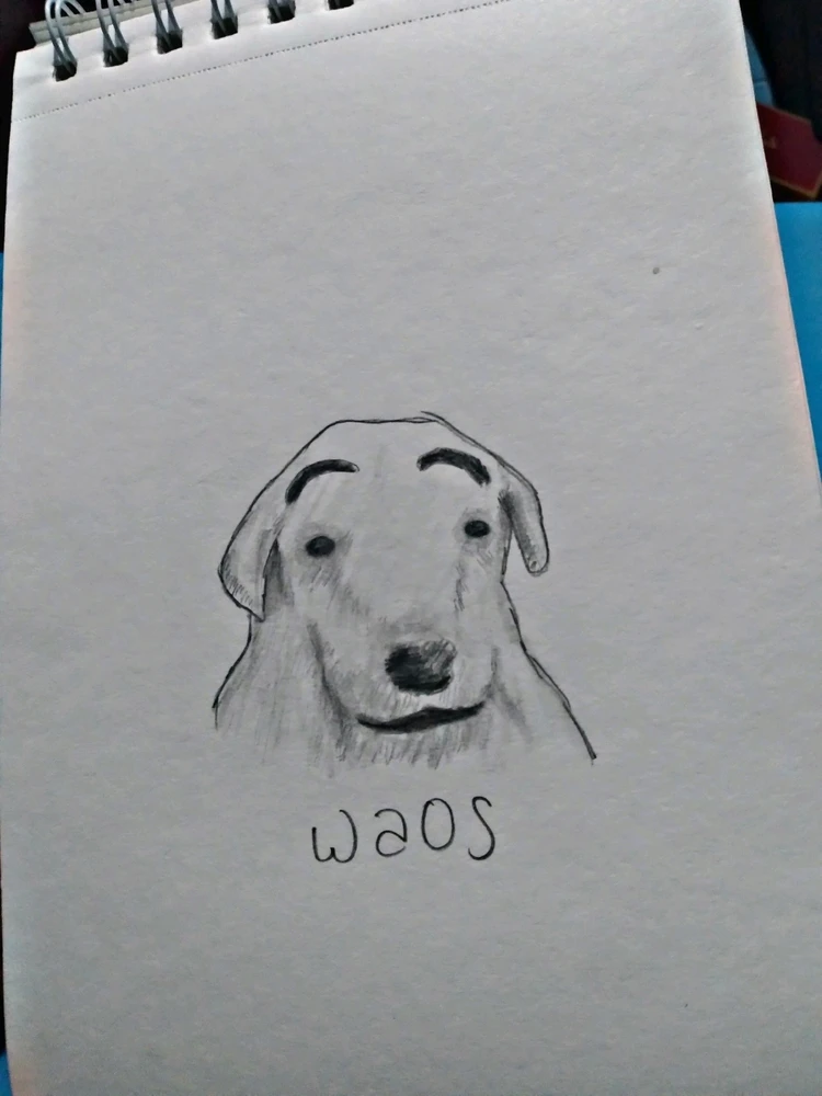 Image uploaded by Jumo :p