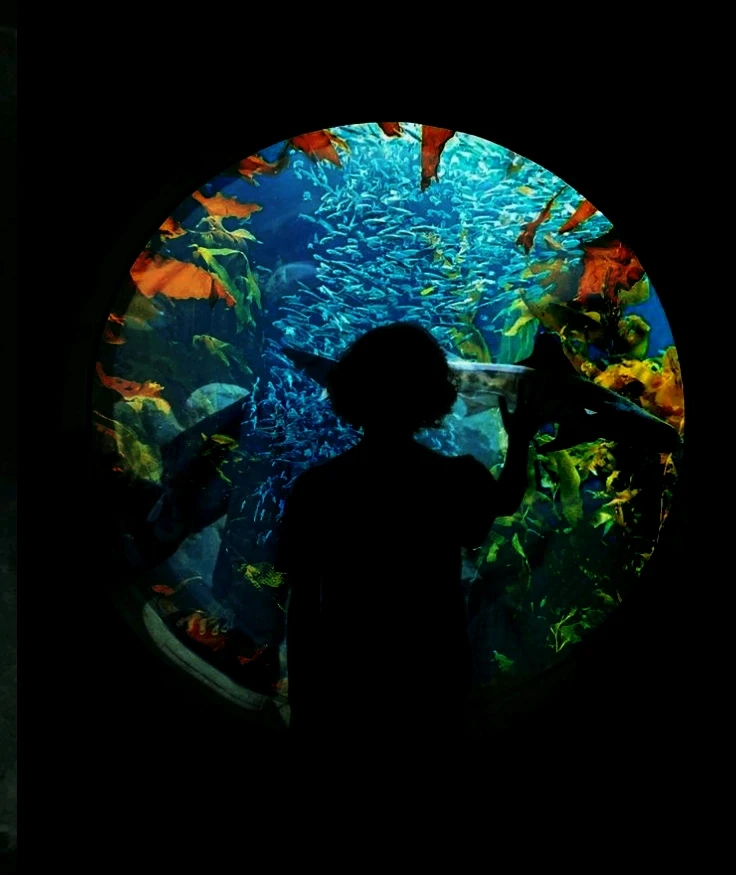 Image ajoutée par Lone