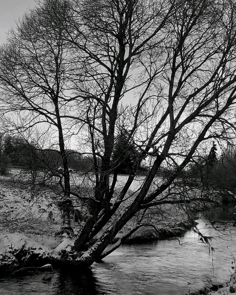 Bild hochgeladen von Dennis