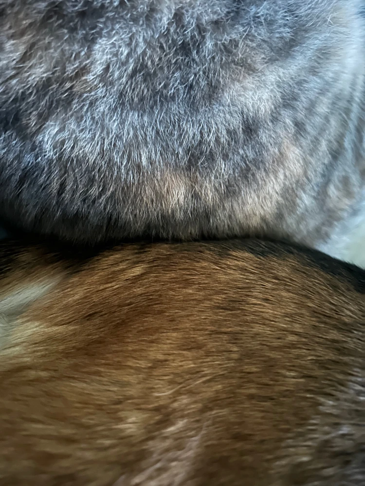 Зображення завантажив Alex