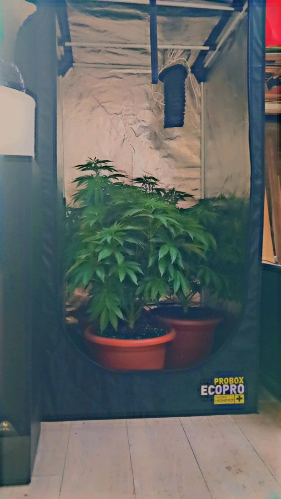 Zdjęcie dodane przez Jeremy