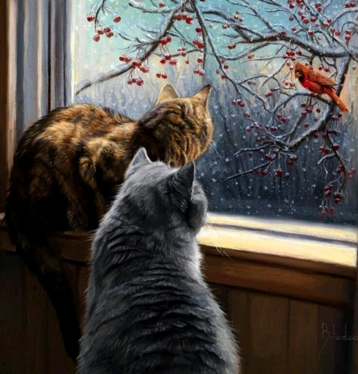 Image uploaded by Franky