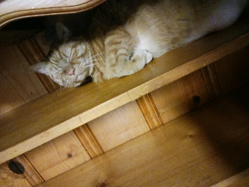 Caitlin 🐛 байршуулсан зураг