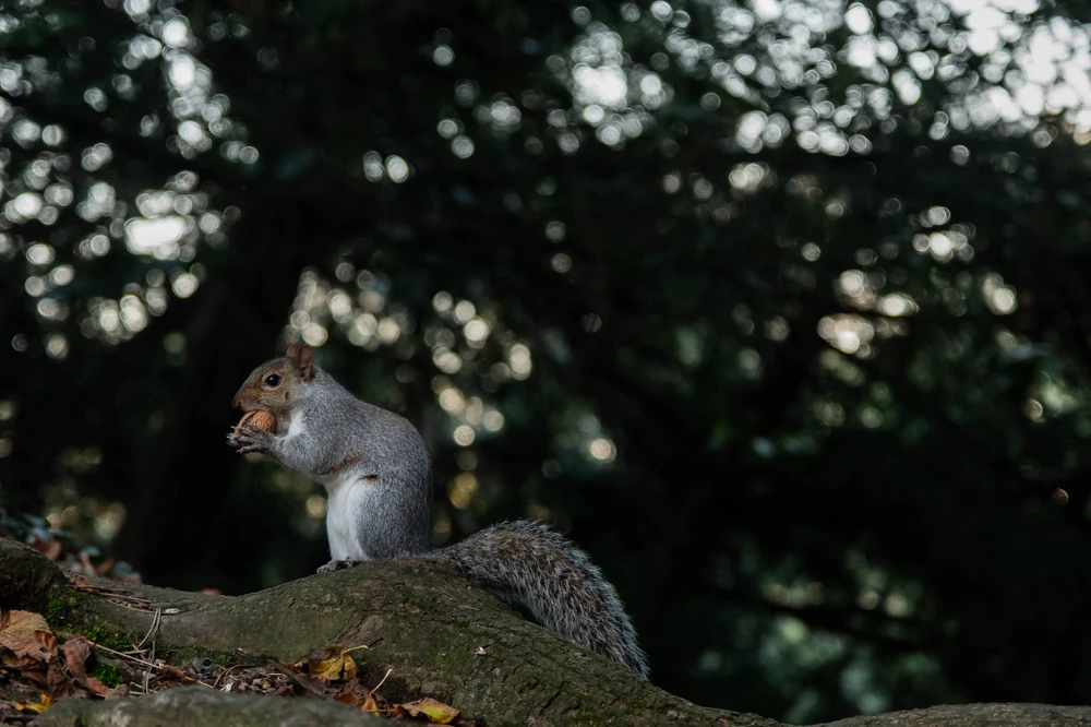 Immagine caricata da Luca