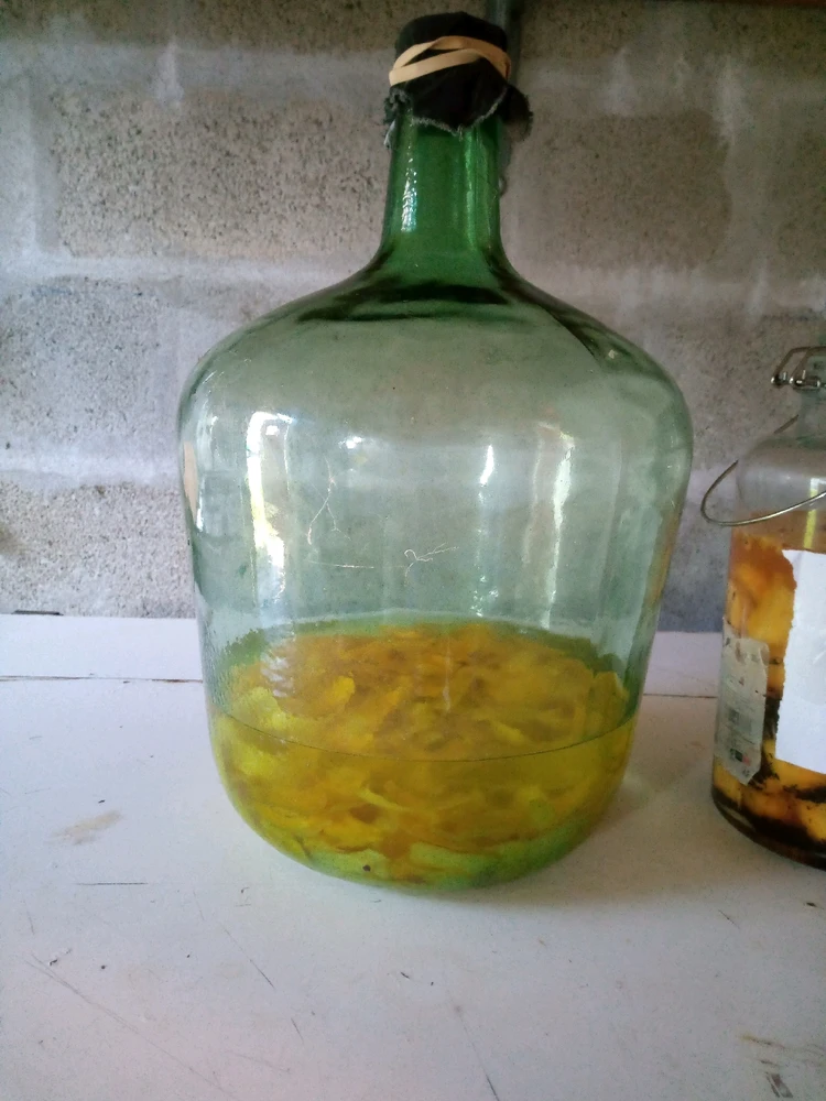 Image ajoutée par Pierre