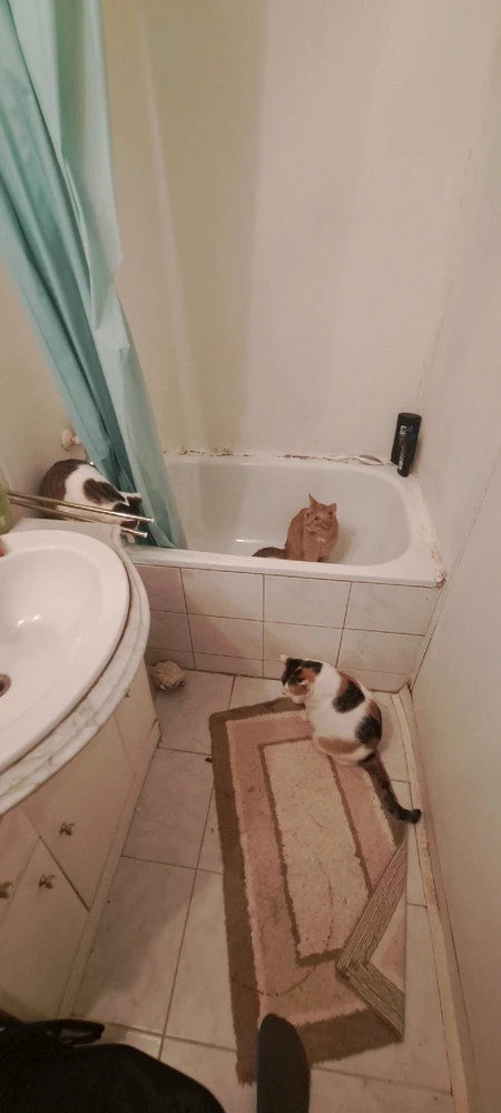 Obrázek nahrál Josef