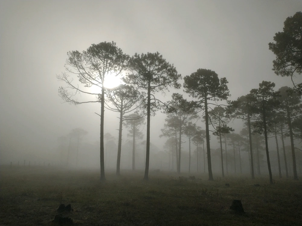 Imagen subida por Ivan CF