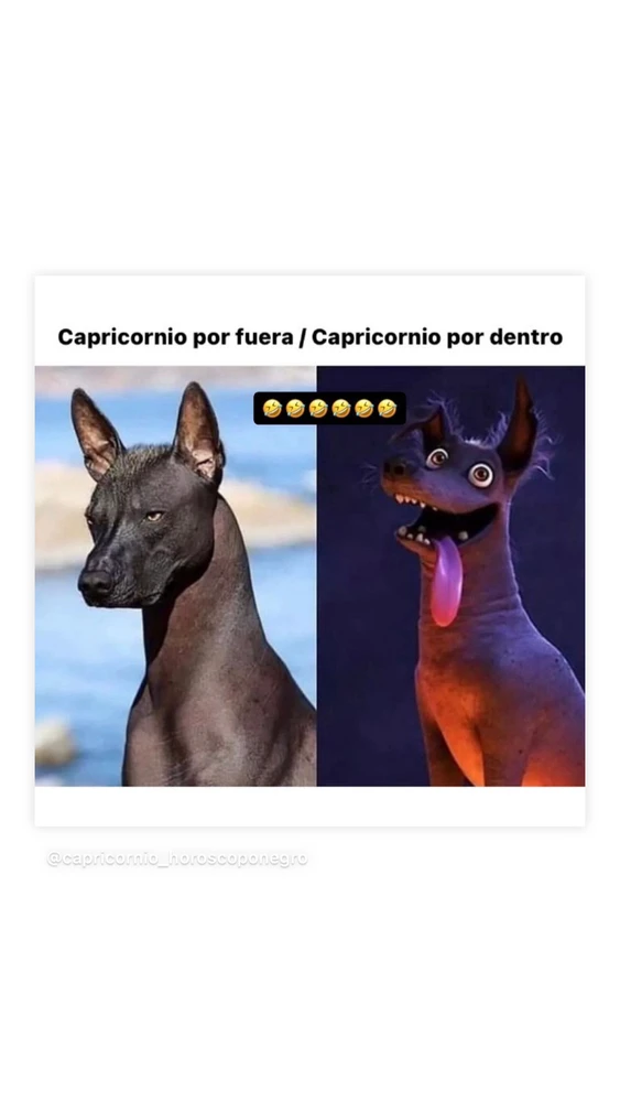 Imatge pujada per Judit