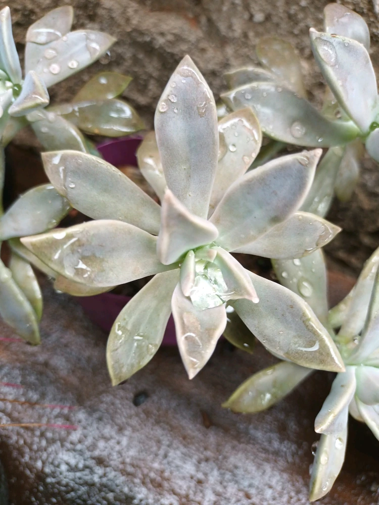 Imagem enviada por Hana