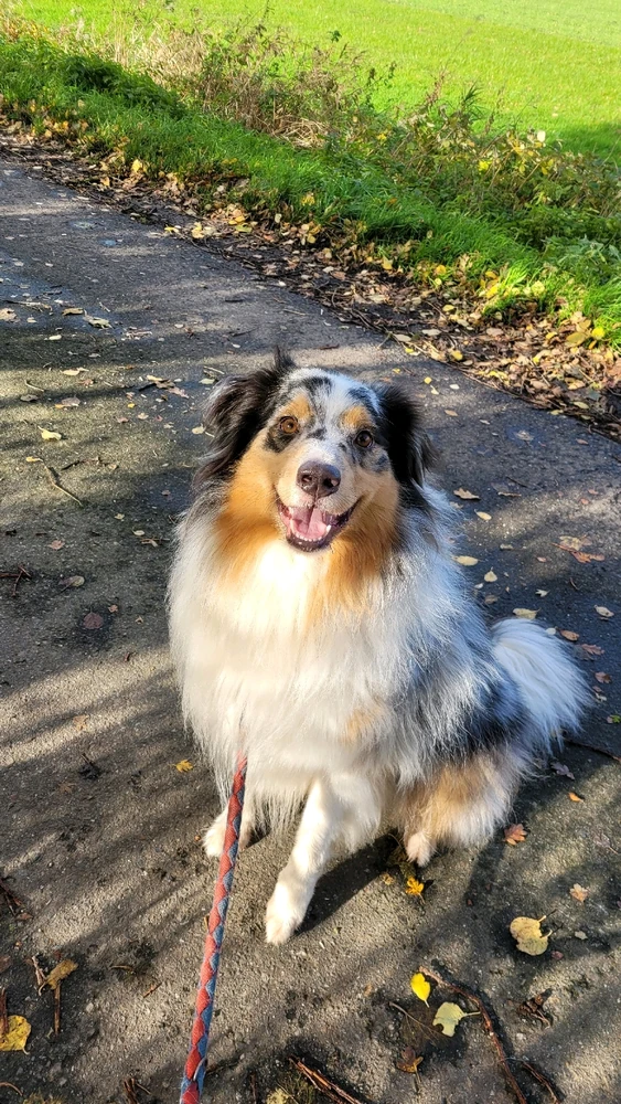 Bild hochgeladen von Romina