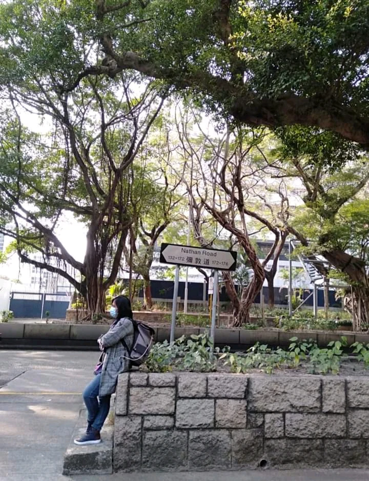 Gambar diunggah oleh Leea