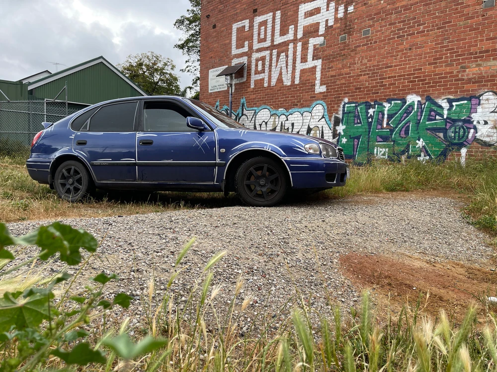 Image uploaded by Steele