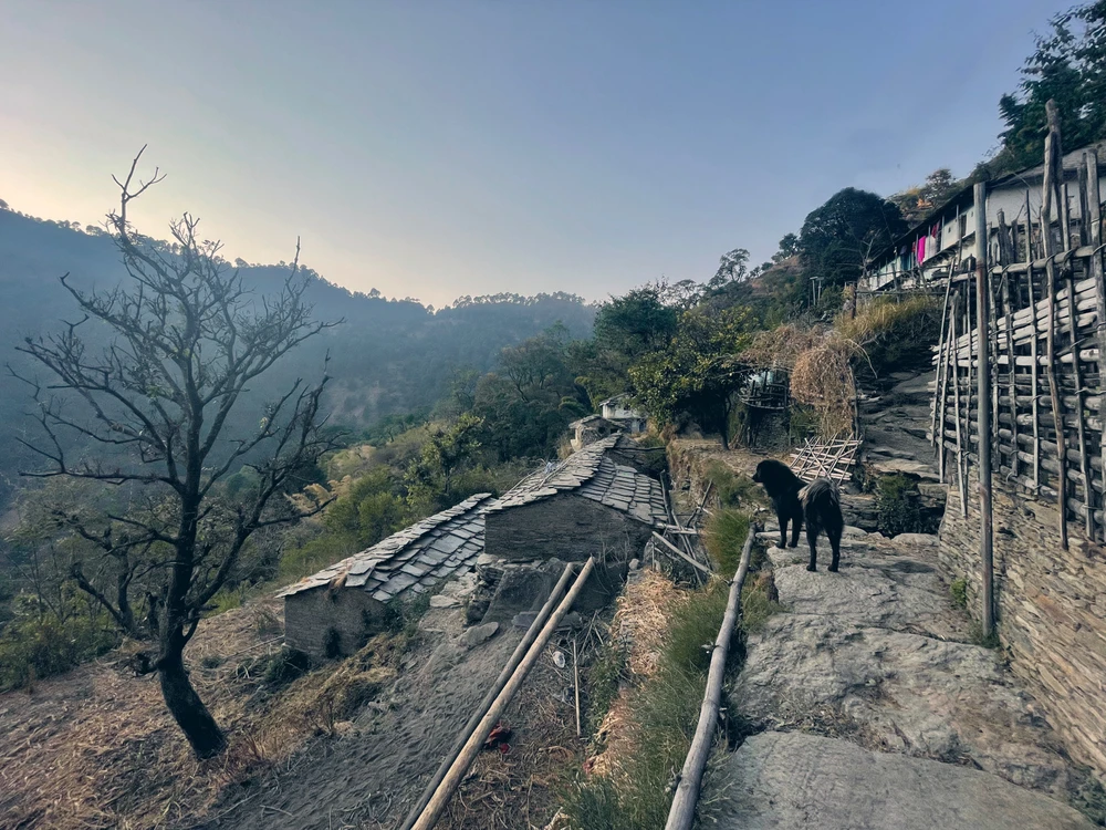 Image uploaded by Chintan