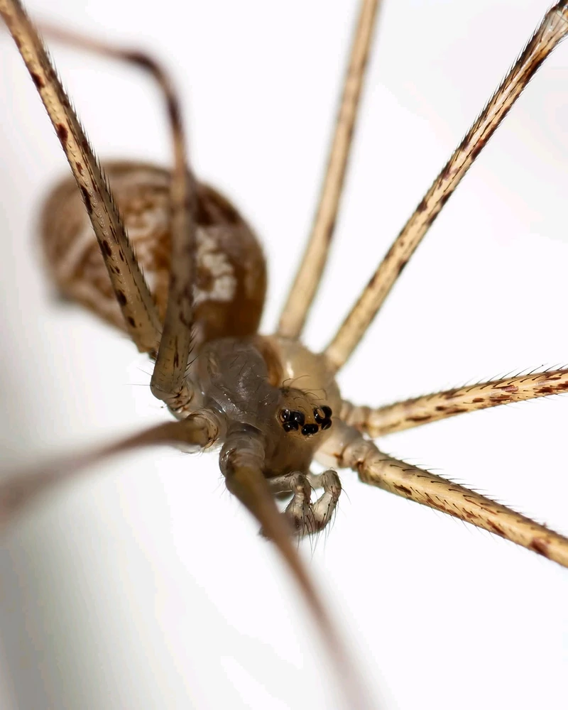 Image uploaded by Bradley