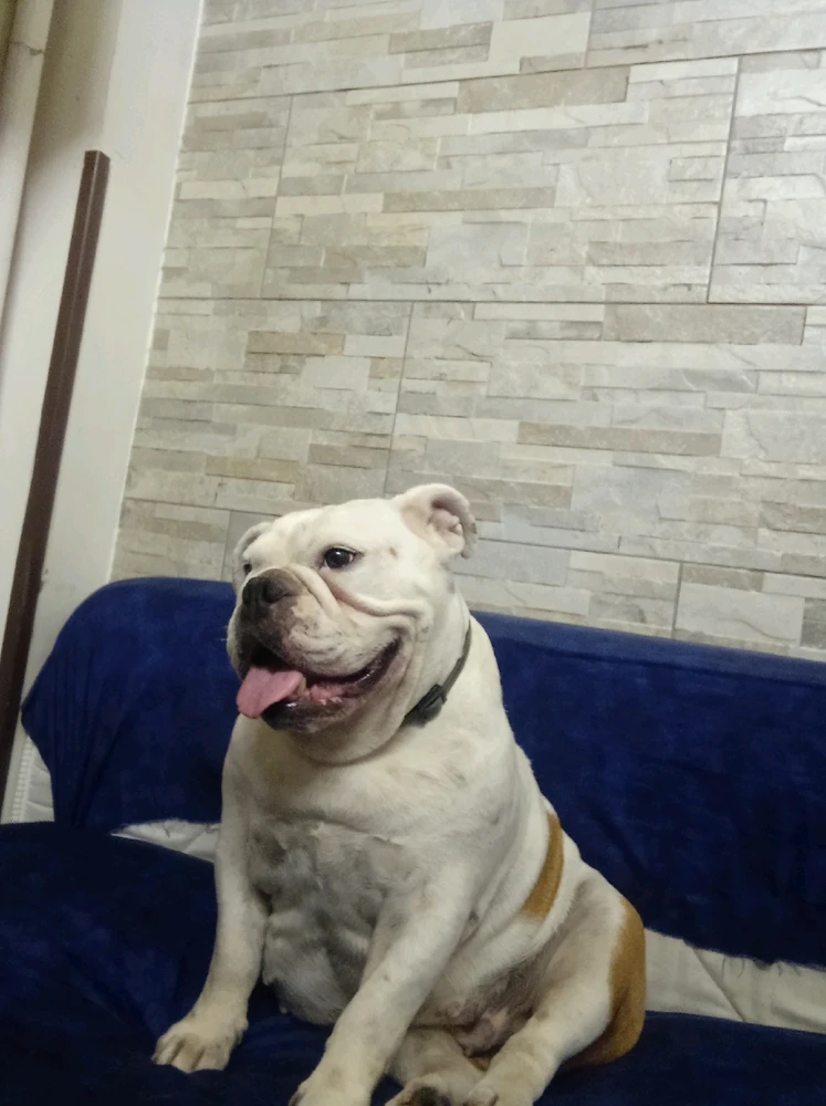 Image uploaded by Riccardo