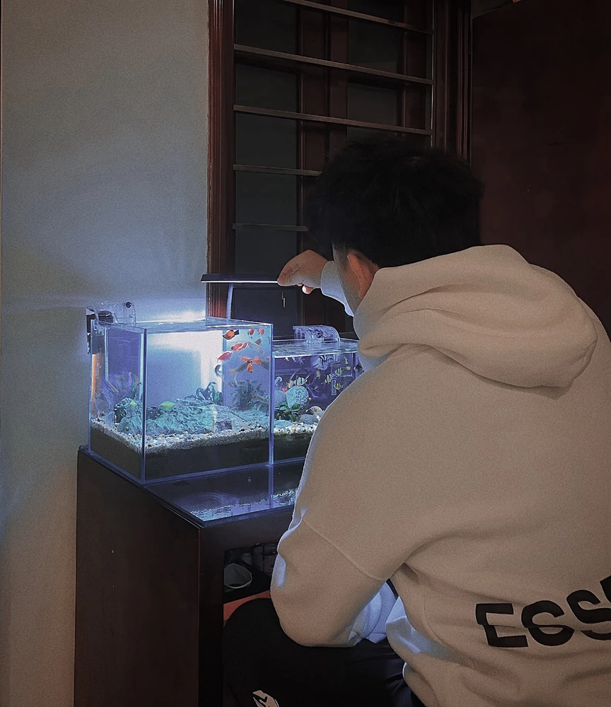 Ảnh do Sơn tải lên