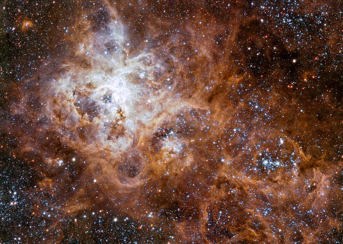 Tarantula nebula