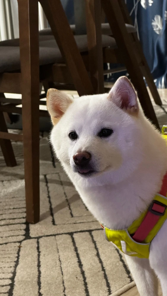 Image uploaded by Johnny