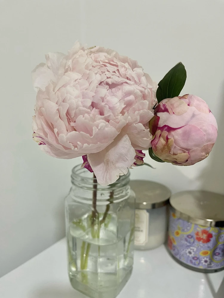 Image uploaded by A’s