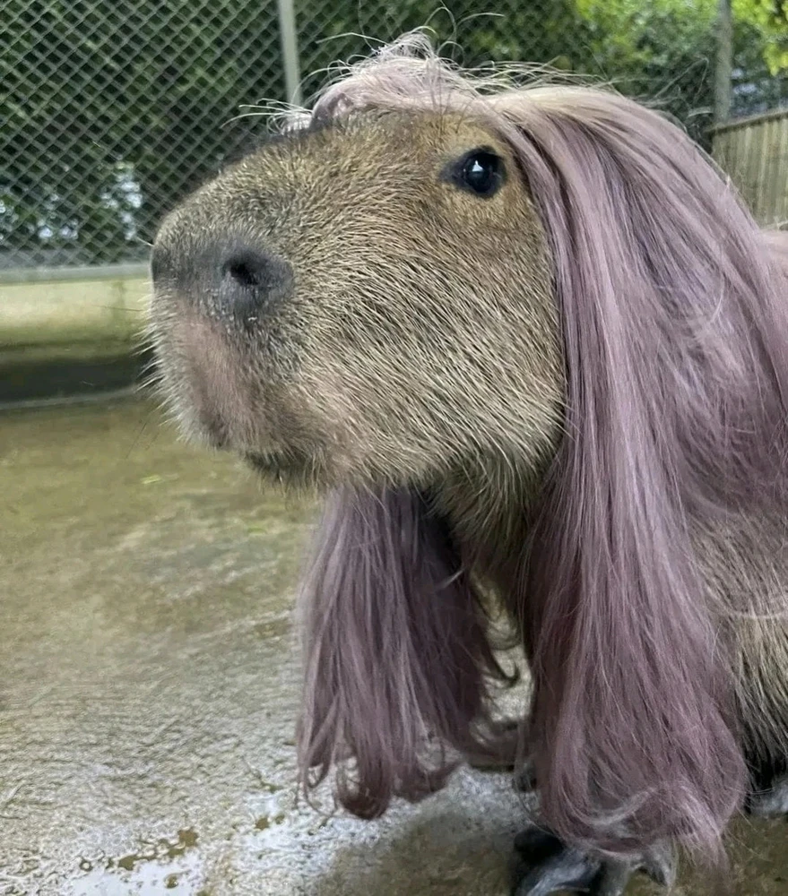 Image uploaded by Ксения