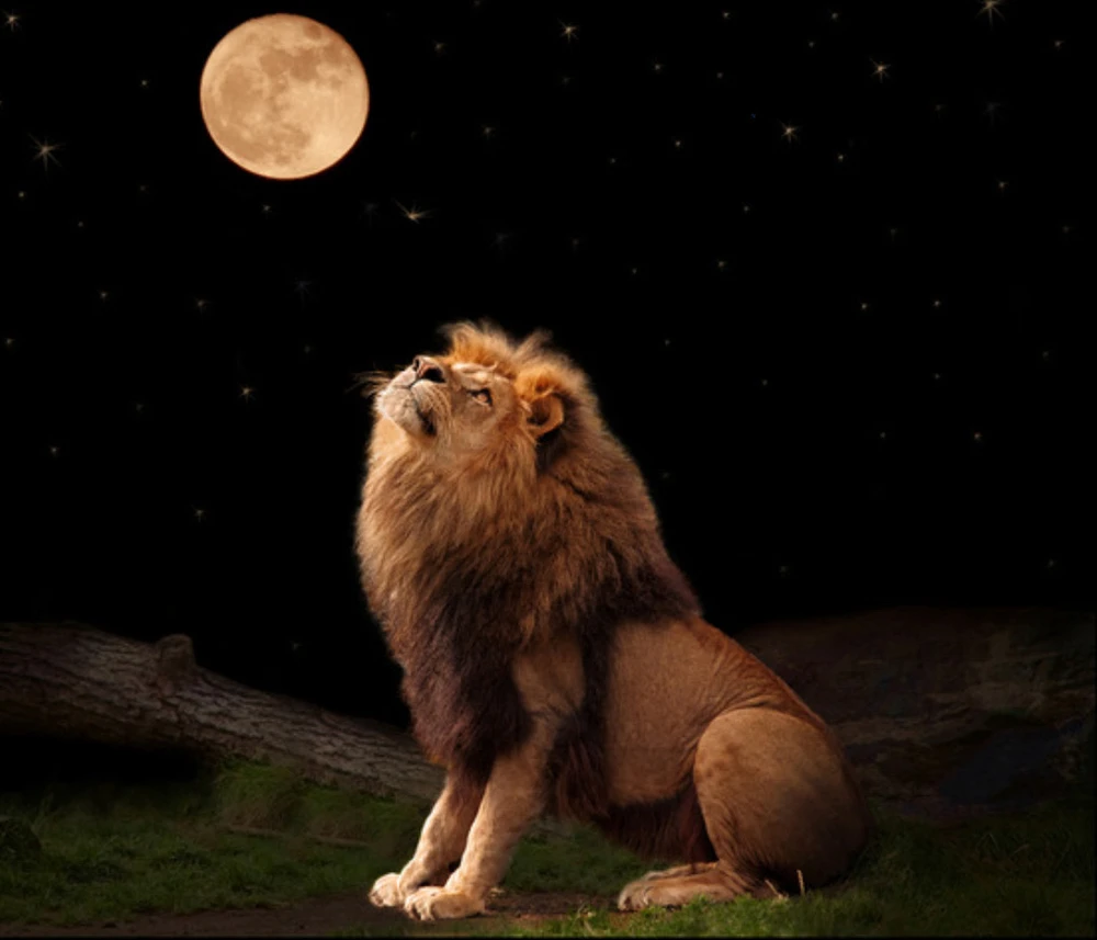 Thea által feltöltött kép