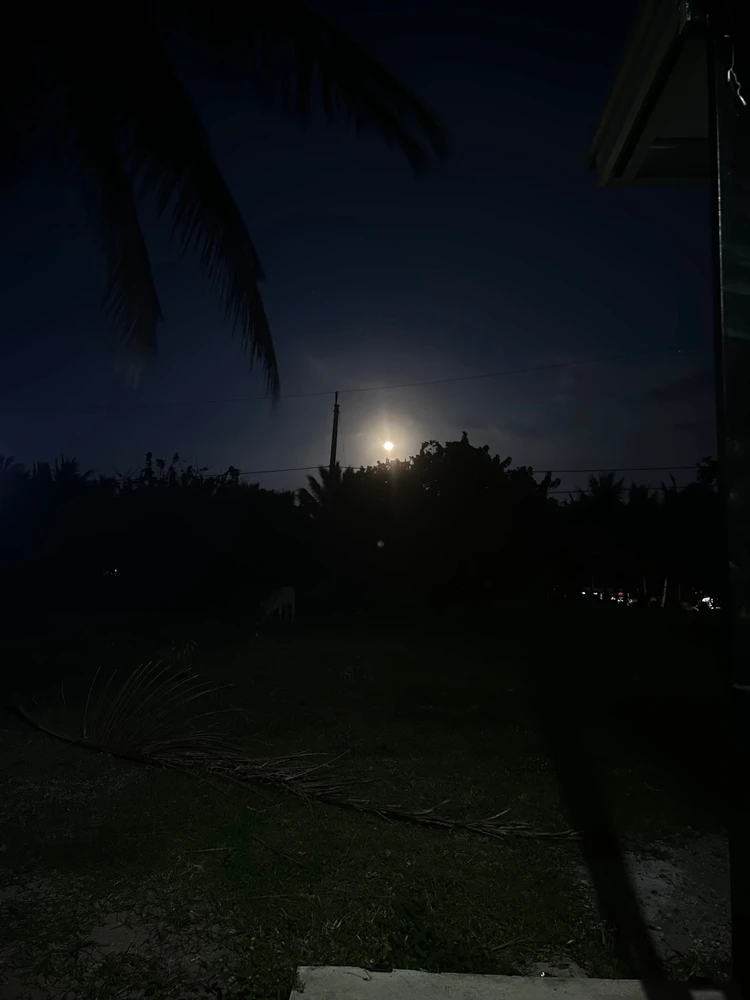 Image uploaded by Tinay