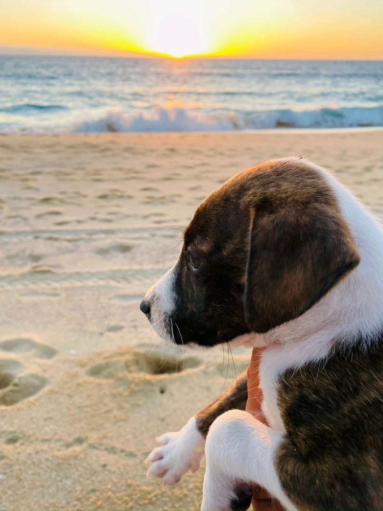 Imagen subida por Estrella