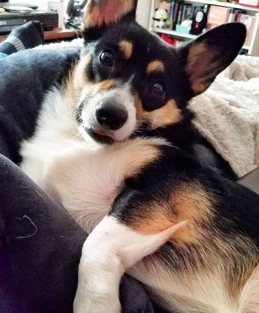 Image uploaded by Cheyenne