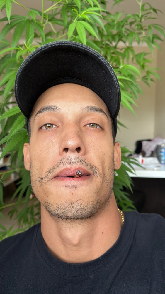 Imagem enviada por A. Pinheiro