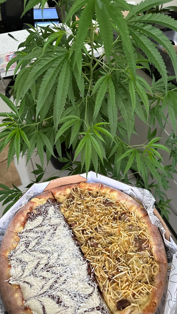 Imagem enviada por A. Pinheiro