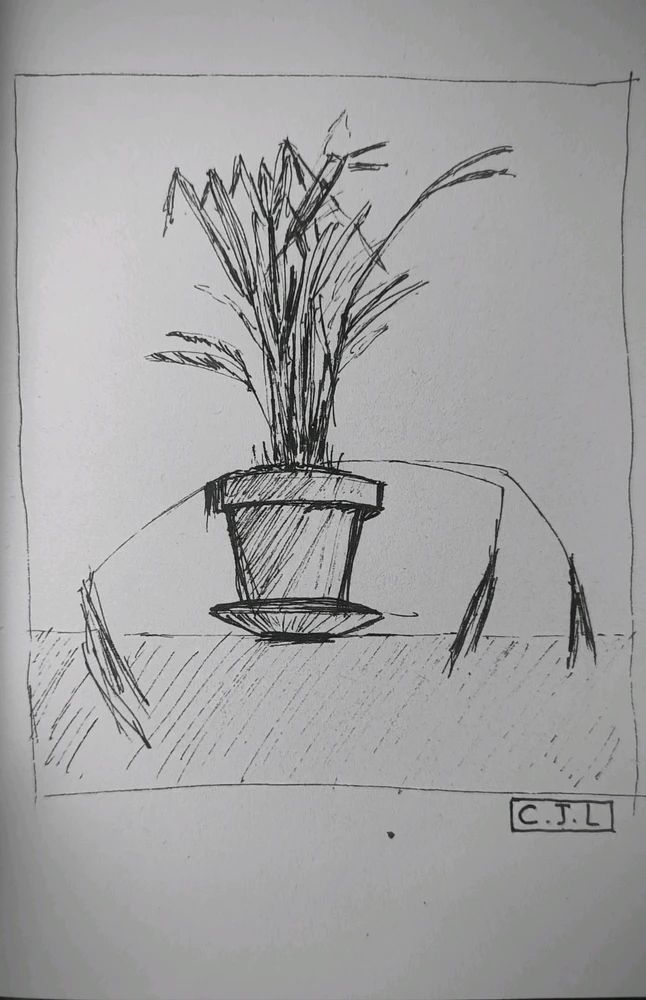 Image ajoutée par Camille