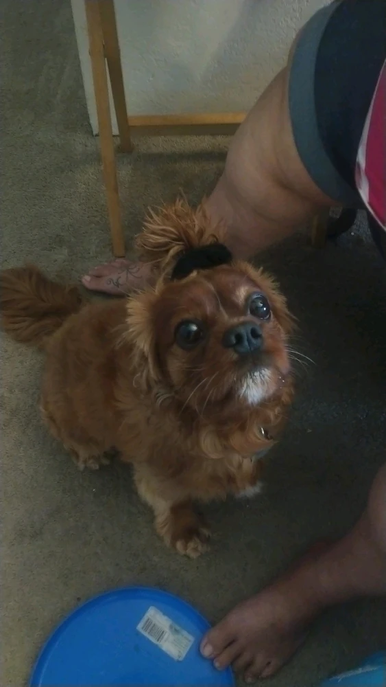 Tell me something about yourself that you are proud of ❤️