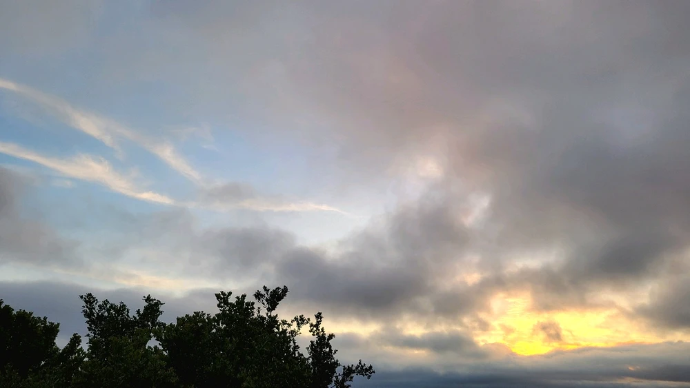 Image uploaded by Vanessa