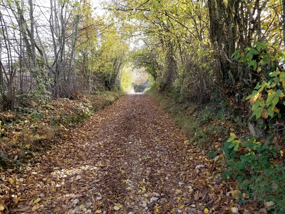 Image ajoutée par Damien