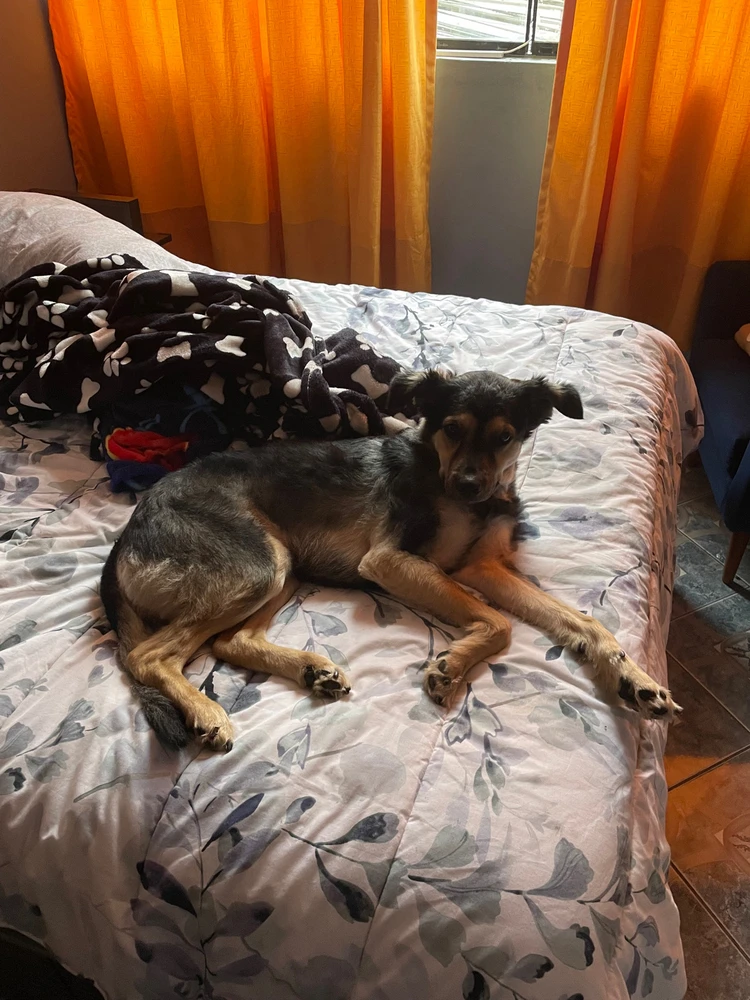 Image uploaded by Dana 🦋