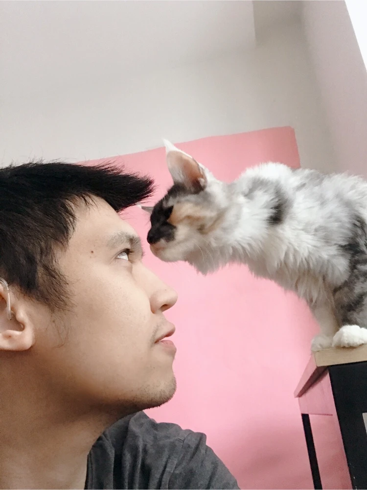 Tung上傳的圖片