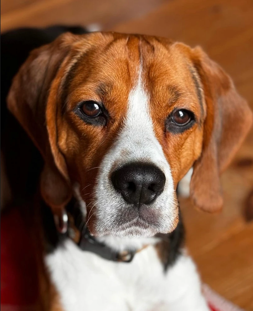 Bild hochgeladen von Ronny