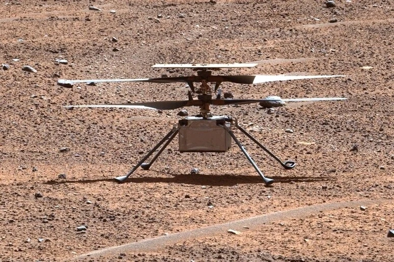 Image uploaded by Simone