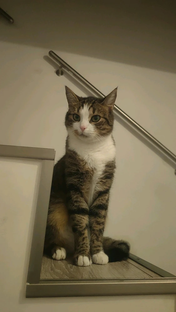 Zdjęcie dodane przez Klaudia